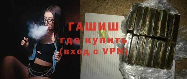 гидра Гусев
