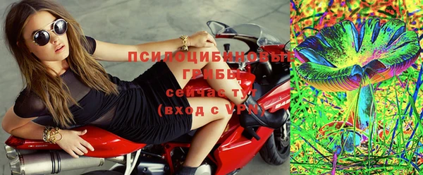 mdpv Горно-Алтайск