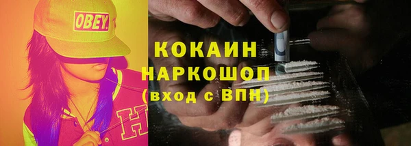 mdpv Горно-Алтайск