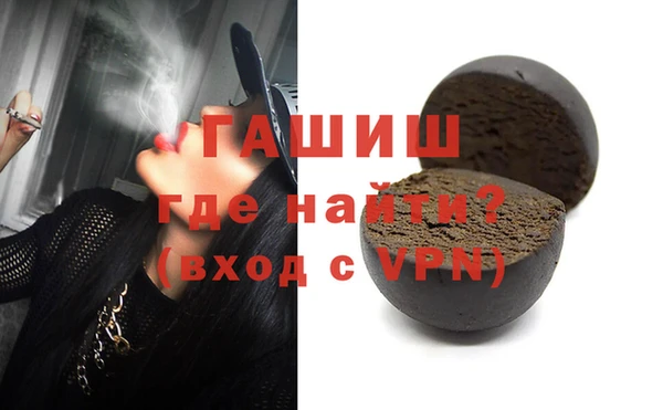 гидра Гусев