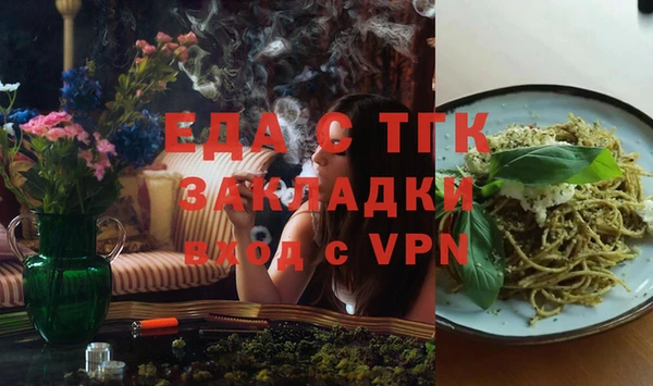 гидра Гусев