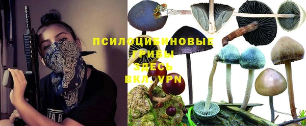 кокс Гусь-Хрустальный