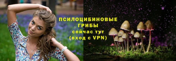 кокс Гусь-Хрустальный