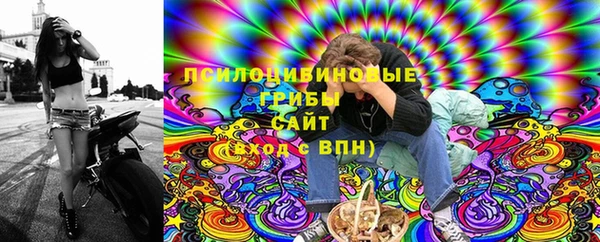 гидра Гусев