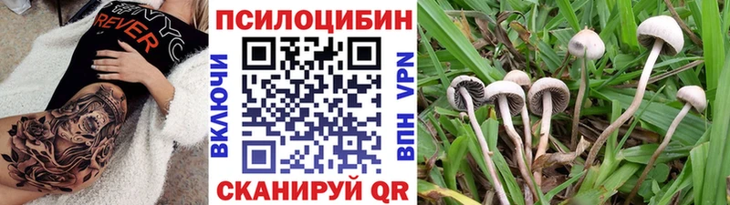 Галлюциногенные грибы мухоморы Купить закладки Петушки